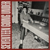 Sam Fender - Seventeen Going Under vinyl cover