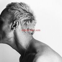 Sam Himself - Power Ballads vinyl cover