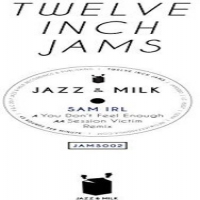 Sam Irl - Twelve Inch Jams 002 vinyl cover