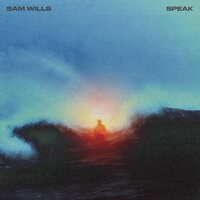 Sam Wills - Speak vinyl cover