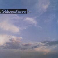 Samiam - Soar (Haze) vinyl cover