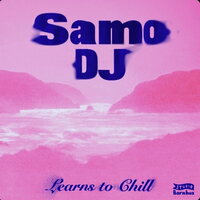 Samo DJ - Learns To Chill vinyl cover
