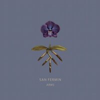 San Fermin - Arms vinyl cover