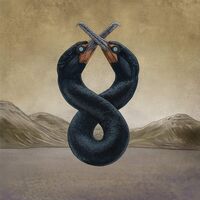 San Fermin - The Cormorant I & II vinyl cover