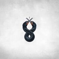 San Fermin - The Cormorant I vinyl cover
