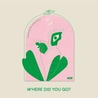 Sandman Project - Where Did You Go vinyl cover