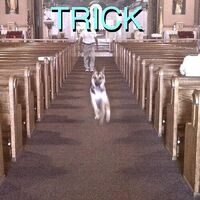 (Sandy) Alex G - Trick vinyl cover