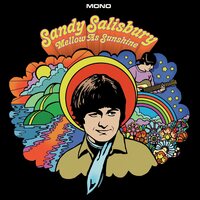 Sandy Salisbury - Mellow As Sunshine vinyl cover