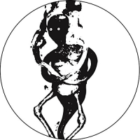 Sanfuentes - Visiones vinyl cover