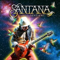 Santana - Sentient vinyl cover