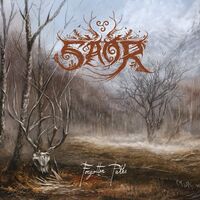 Saor - Forgotten Paths vinyl cover