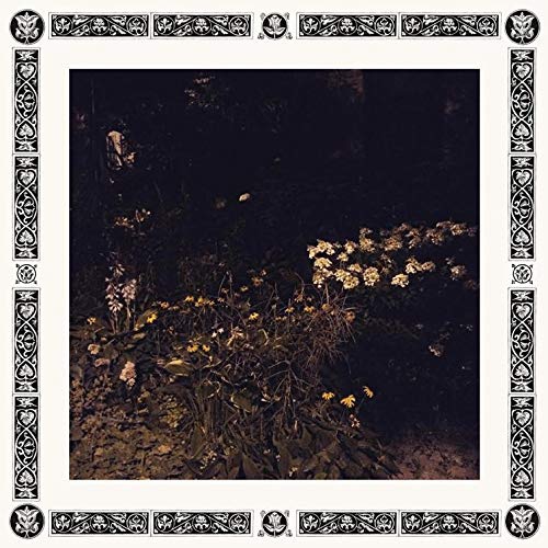 Sarah Davachi - Pale Bloom vinyl cover