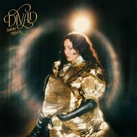 Sarah Maison - Divad vinyl cover