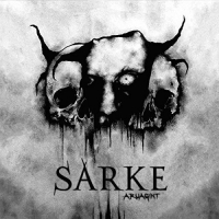 Sarke - Aruagint vinyl cover