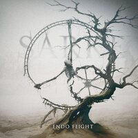 Sarke - Endo Feight vinyl cover