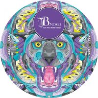 Sascha Dive - Detroit Sunrise vinyl cover