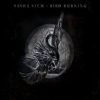 Sasha Siem - Bird Burning vinyl cover