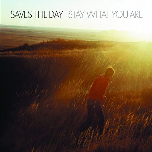 Saves The Day - Stay What You Are vinyl cover