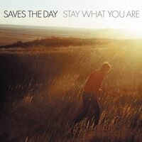 Saves The Day - Stay What You Are Brown vinyl cover