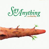 Say Anything - Is A Real Boy vinyl cover