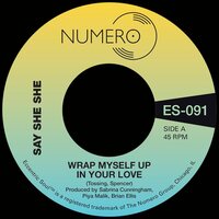Say She She & Jim Spencer - Wrap Myself Up In Your Love (White) vinyl cover