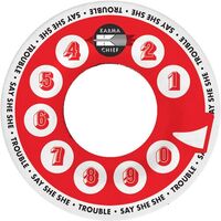 Say She She - Trouble vinyl cover