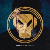 Sb81 - Picture This vinyl cover