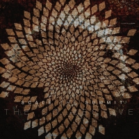 Scale The Summit - The Collective - Silver Series vinyl cover