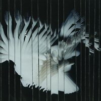 Scaler - Endlessly vinyl cover