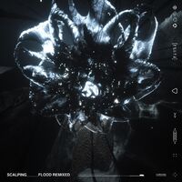 Scalping - Flood Remixed (Clear) vinyl cover