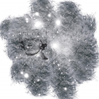 Scarabeusdream - Tacet Tacet Tacet vinyl cover