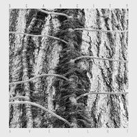 Scarcity - Aveilut vinyl cover
