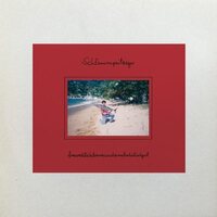 Schlammpeitziger - Freundlichbaracudamelodieliedgut vinyl cover