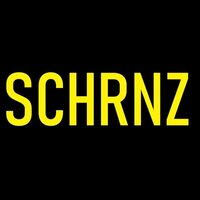 Schrnz - SCHRNZ vinyl cover