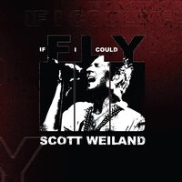 Scott Weiland - If I Could Fly RSD vinyl cover