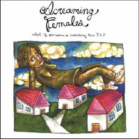 Screaming Females - What If Someone Is Watching Their TV? (Maroon) vinyl cover