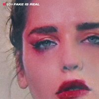 Sdh - Fake Is Real vinyl cover