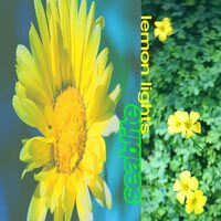 Seablite - Lemon Lights vinyl cover