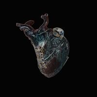 Seamus Blake - Guardians Of The Heart Machine vinyl cover