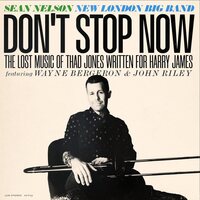 Sean Nelson - Don't Stop Now vinyl cover