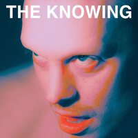 Sean Nicholas Savage - The Knowing vinyl cover