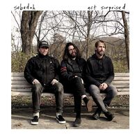Sebadoh - Act Surprised vinyl cover