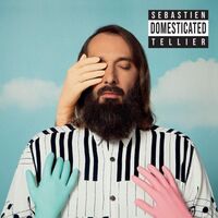 Sebastien Tellier - Domesticated vinyl cover