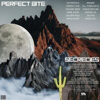 Secrecies - Perfect Bite vinyl cover