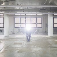 Secret Machines - Awake In The Brain Chamber vinyl cover