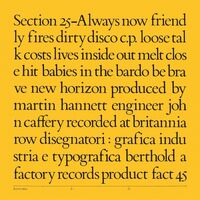 Section 25 - Always Now vinyl cover