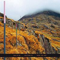 Section 25 - From The Hip vinyl cover