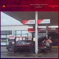 Self Defense Family - Make Me A Pallet Fire On Your Floor / Local Clerics vinyl cover