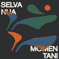 Selva Nua - Momentani vinyl cover