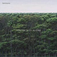 Semisonic - You're Not Alone vinyl cover